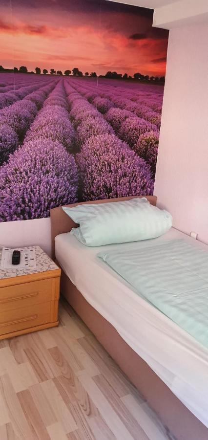 Hotel Gasthaus Felseneck Staufenberg  Екстер'єр фото
